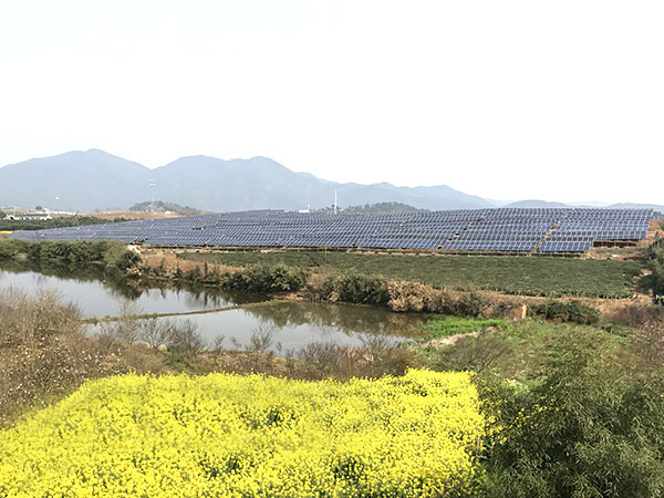 江山控股茶光互補電站項目